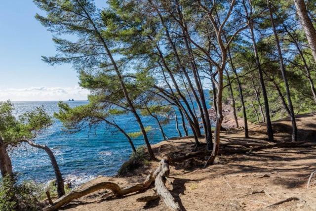 Studio Climatise Avec Jardin Et Plage A 250M Saint-Mandrier-sur-Mer Zewnętrze zdjęcie